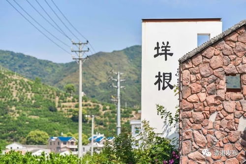 玉環有個垟根村