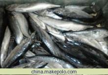 鰹魚冷凍粗加工產(chǎn)品 - 臺(tái)州億利達(dá)水產(chǎn)專業(yè)供應(yīng)