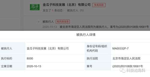 瓜子二手車成被執行人，8000元執行標的牽出技術開發糾紛